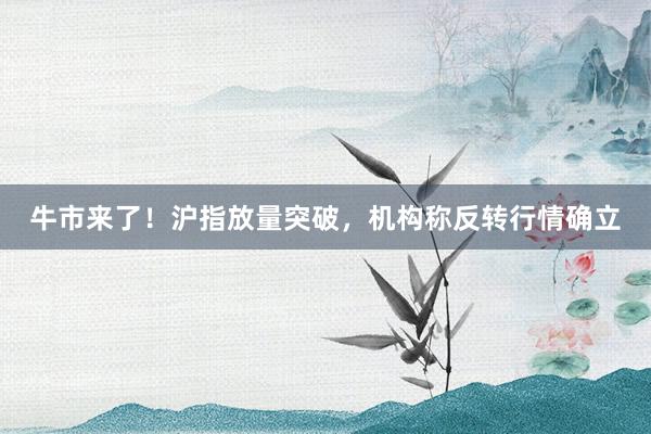 牛市来了！沪指放量突破，机构称反转行情确立