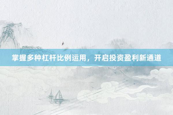 掌握多种杠杆比例运用，开启投资盈利新通道