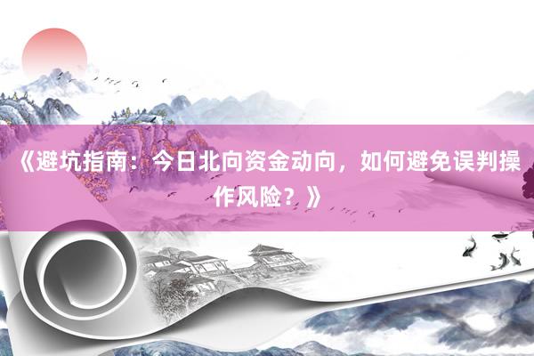 《避坑指南：今日北向资金动向，如何避免误判操作风险？》