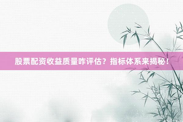 股票配资收益质量咋评估？指标体系来揭秘！