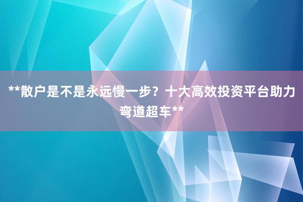 **散户是不是永远慢一步？十大高效投资平台助力弯道超车**