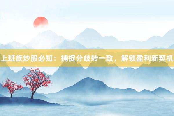 上班族炒股必知：捕捉分歧转一致，解锁盈利新契机