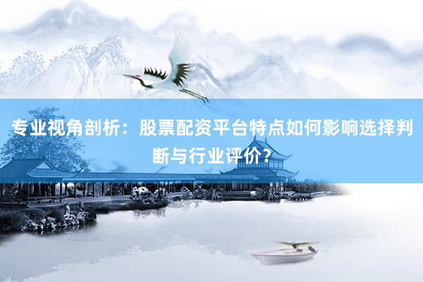 专业视角剖析：股票配资平台特点如何影响选择判断与行业评价？